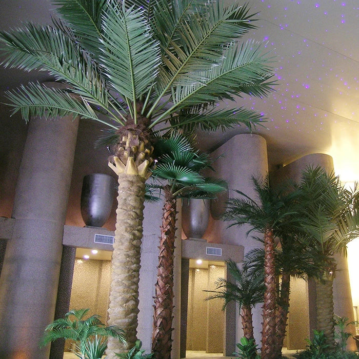 Artificial Date Palm Tree Lifespan Outdoor Use