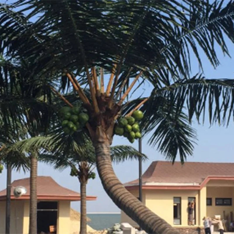 Artificial Date Palm Tree High Simulation for Hotel Decor