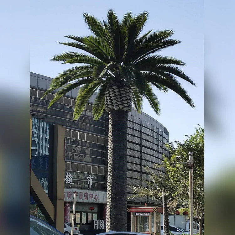 Artificial Date Palm Tree Lifespan Outdoor Use