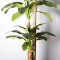 Signature 11.8FT Artificial Banana Tree With Banana Leaves