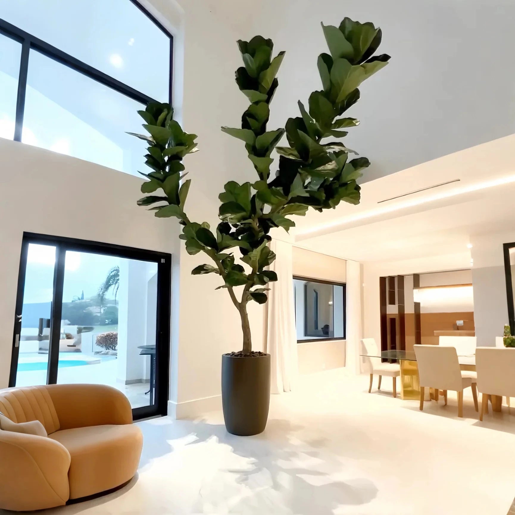 Artificial Fiddle Leaf Fig Tree 10 FT Indoor Display