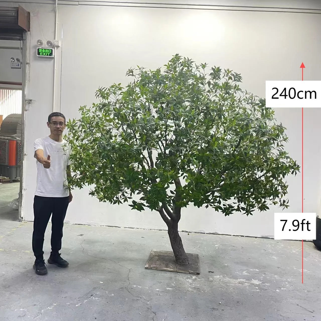 pieris japonica indoor plant Pieris Japonica Faux Tree 8 FT Realistic Decor – Faux Natural: Best  Realistic Artificial Trees for Commercial Indoor Outdoor Use