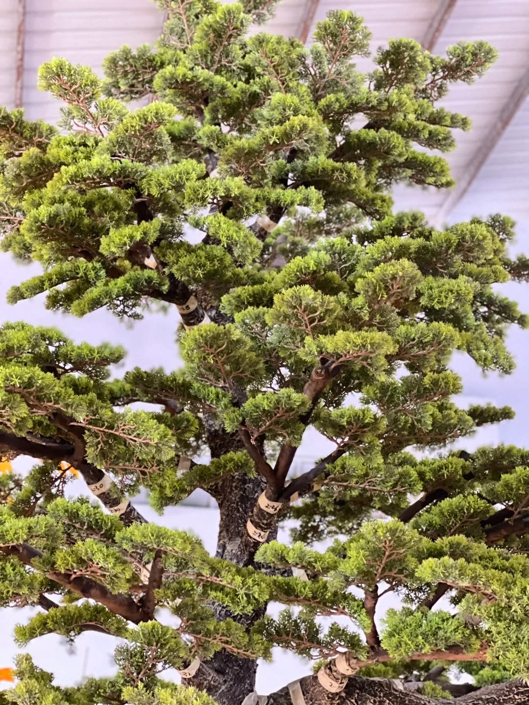 Artificial Pine Tree Textured Fiberglass Trunk Hotel Lobby