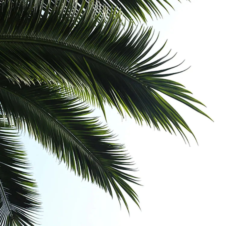 Artificial Coconut Tree 7ft Anti-UV Outdoor Use