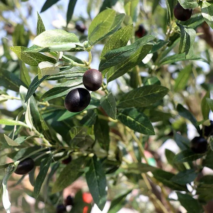 Artificial Black Olive Tree 2.13 M Handmade Indoor Accent