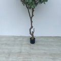 Signature Artificial Eucalyptus Tree Bonsai 7.9 FT Silver Dollar