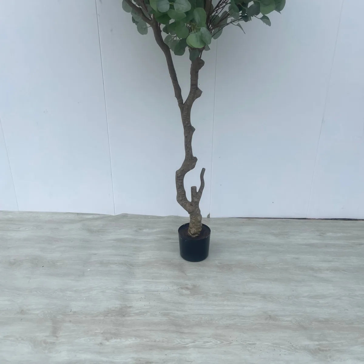 Tall Artificial Eucalyptus Tree Bonsai Faux Silver Dollar 8.9 FT