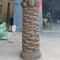 UV Resistant Artificial Palm Tree Outdoor 9.8 FT