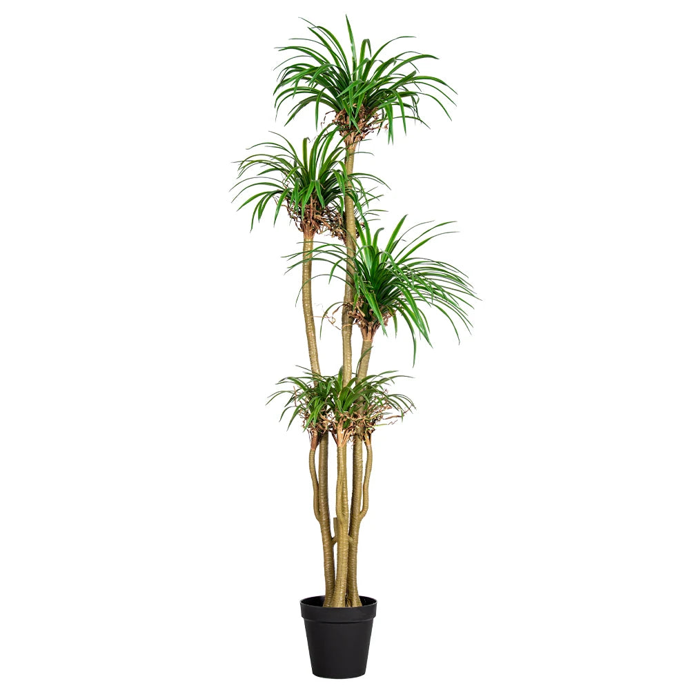 Artificial Dracaena Marginata Large Indoor Outdoor Decor