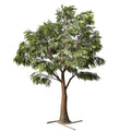 Large Artificial Acacia Tree Fiberglass 11.5 FT UV Resistant