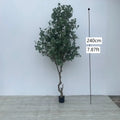 Signature Artificial Eucalyptus Tree Bonsai 7.9 FT Silver Dollar