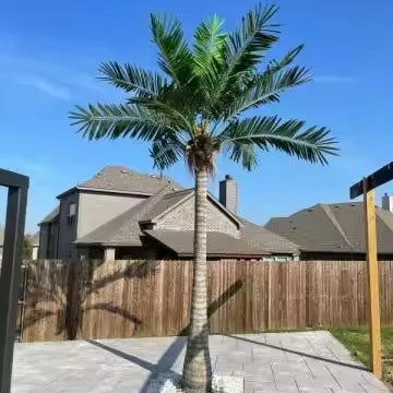 Artificial Coconut Palm Tree Outdoor Indoor for Commercial