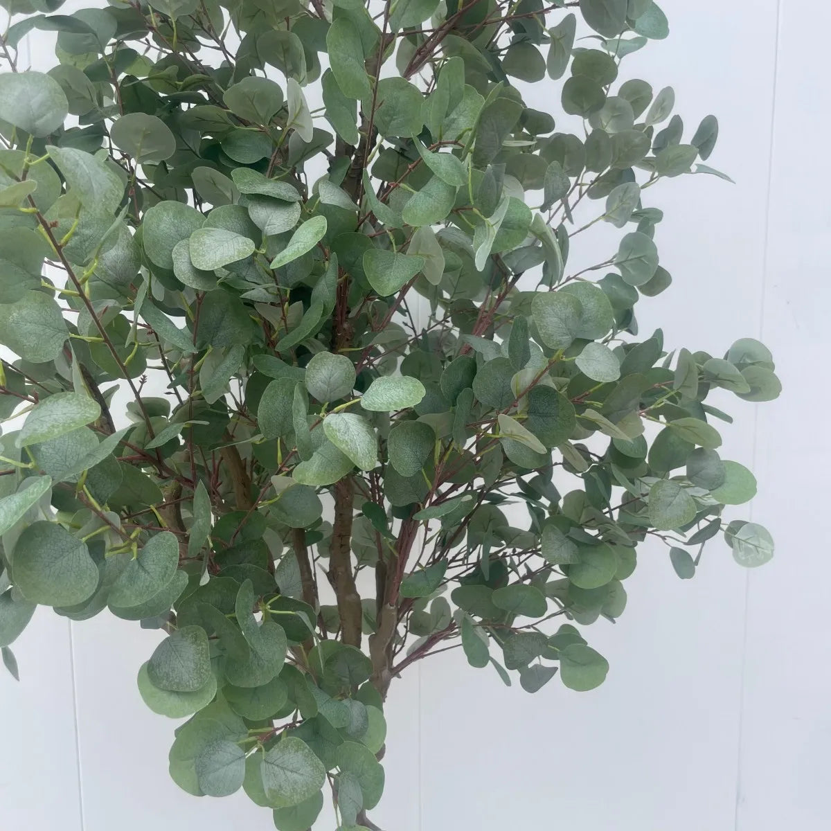 Tall Artificial Eucalyptus Tree Bonsai Faux Silver Dollar 8.9 FT