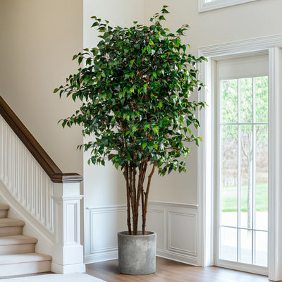 Artificial Fig Tree Natural Wood Trunk Indoor Display