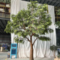 Large Artificial Acacia Tree Fiberglass 11.5 FT UV Resistant