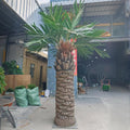 UV Resistant Artificial Palm Tree Outdoor 9.8 FT