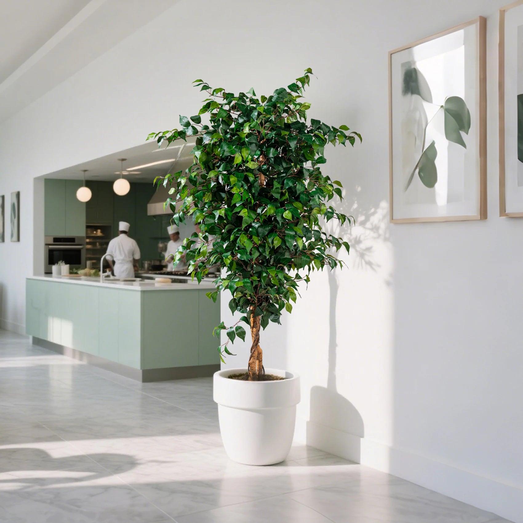 Artificial Fig Tree Natural Wood Trunk Indoor Display