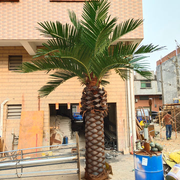 Tall Artificial Date Palm Tree for Commercial Interiors