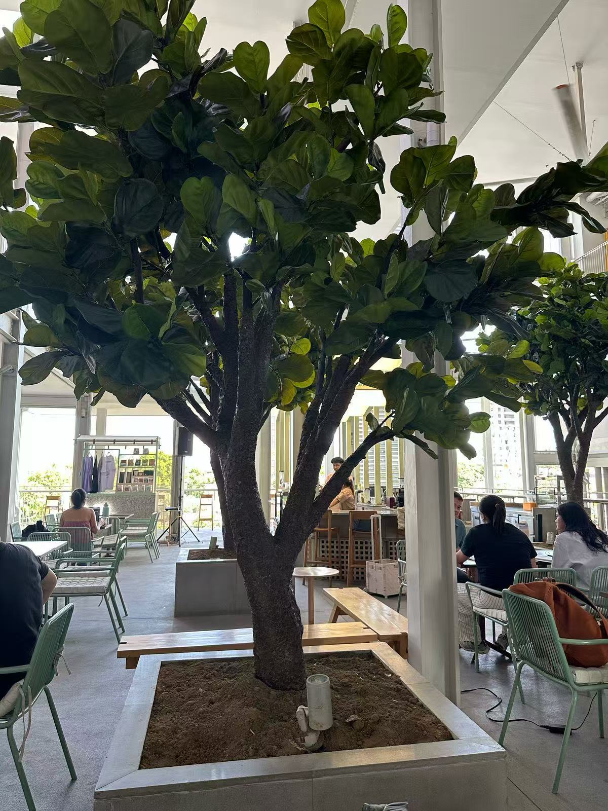 Artificial Fiddle Leaf Fig Tree 13 FT Indoor Display