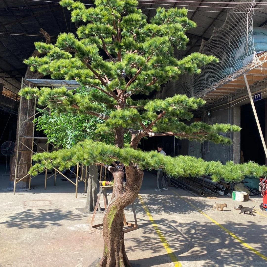Artificial Pine Bonsai Tree for Landscape Feature Displays