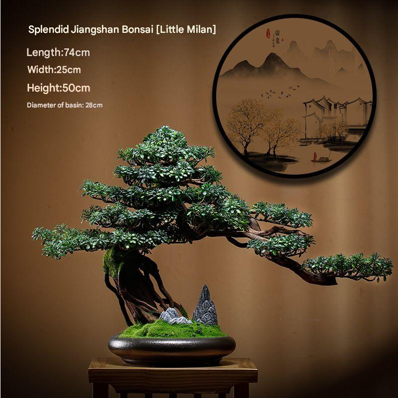 Artificial Bonsai Pine Tree for Living Room