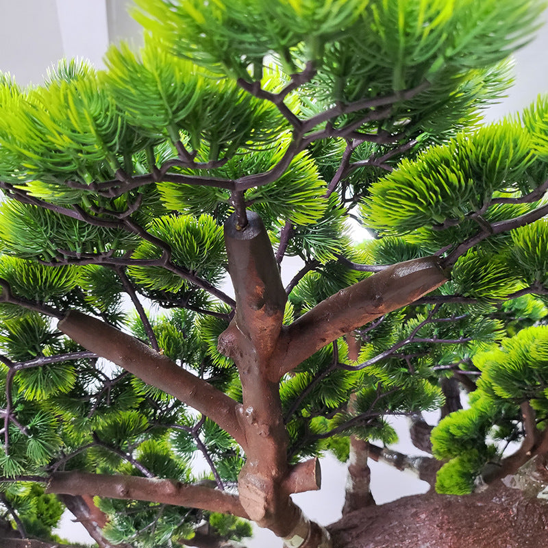 Artificial Pine Plant Natural Wood Trunk Indoor Display