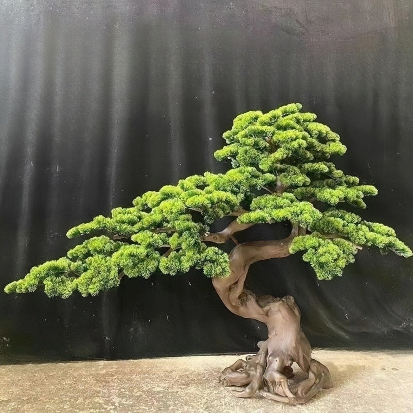 Faux Welcome Pine Tree Solid Wood Trunk