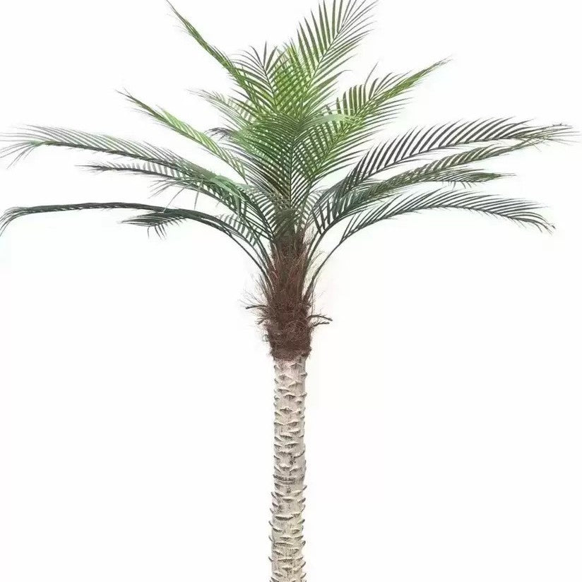 Artificial Areca Palm Tree for Statement Interior Styling