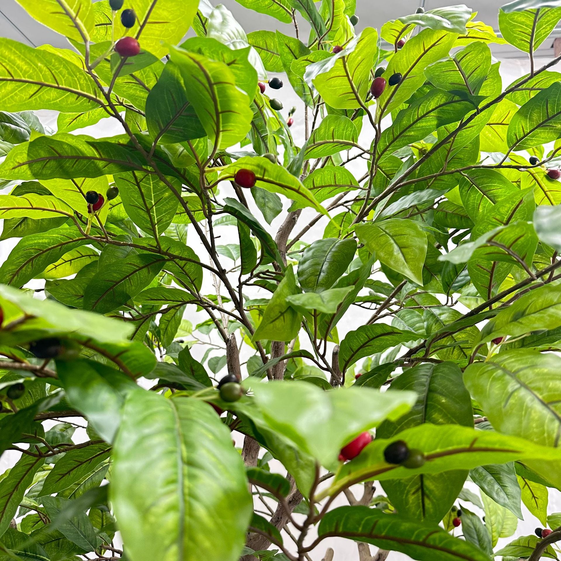 Large Faux Coffee Tree Floor Planter 8 FT