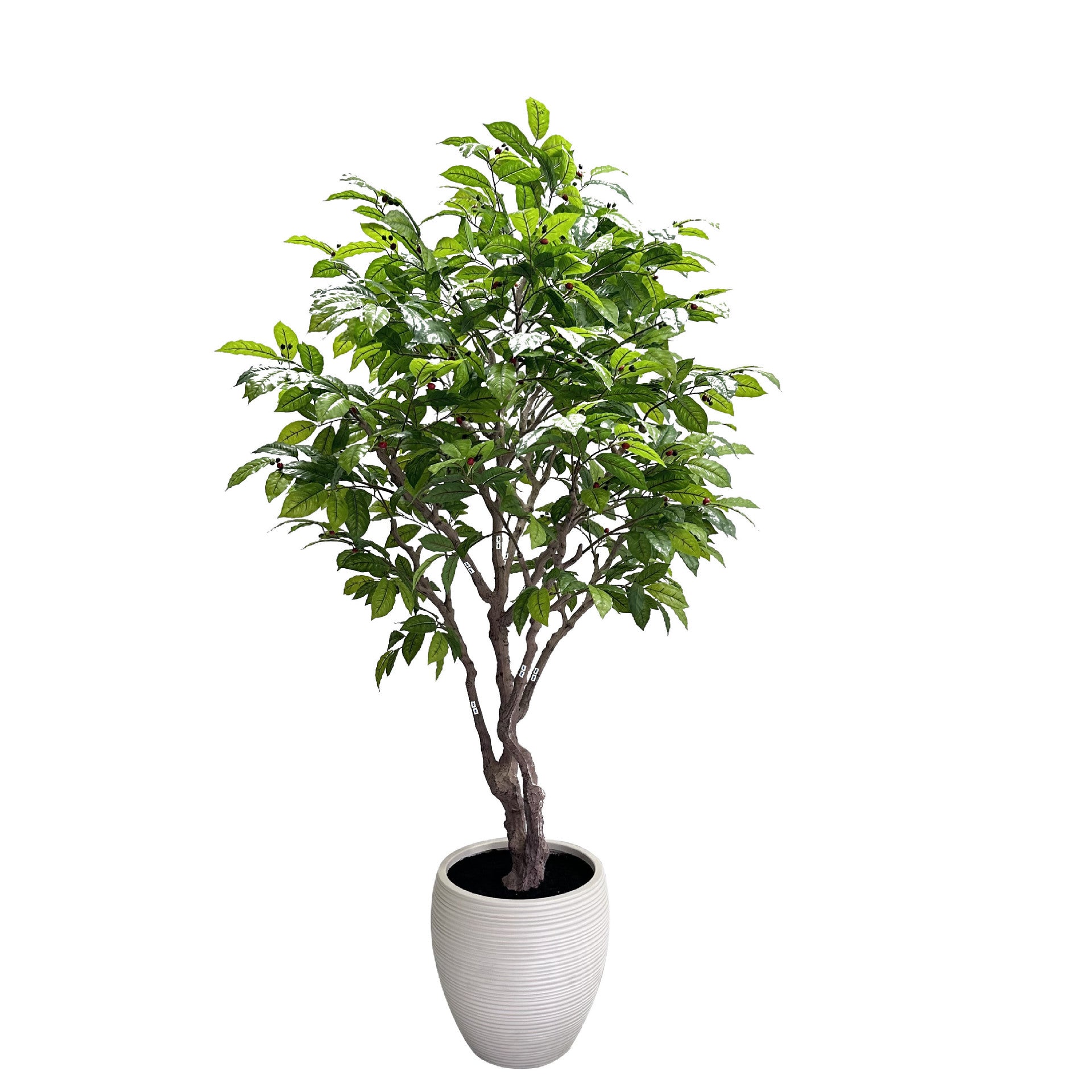 Large Faux Coffee Tree Floor Planter 8 FT