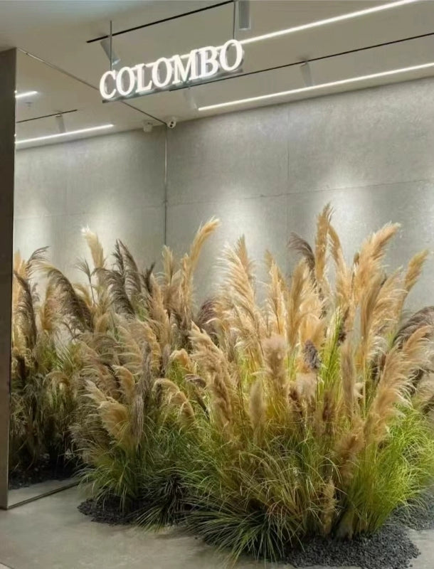 Artificial Reed Grass Stems Pampas Grass for Store Design