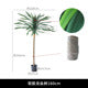 Faux Dracaena Tree Soft Rubber for Commercial Interiors