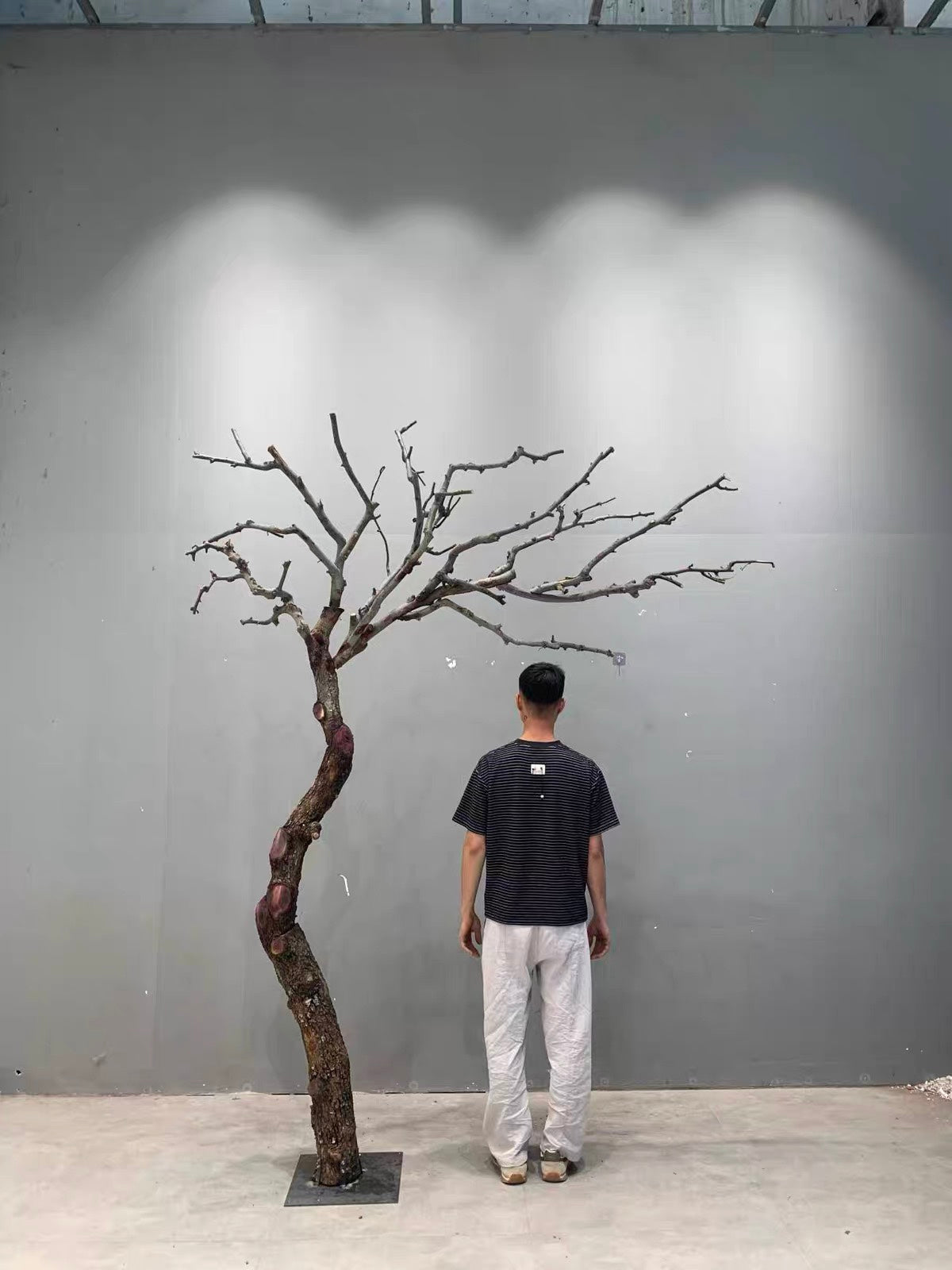 Artificial Dead Tree Bare Trunk for Commercial Landscape