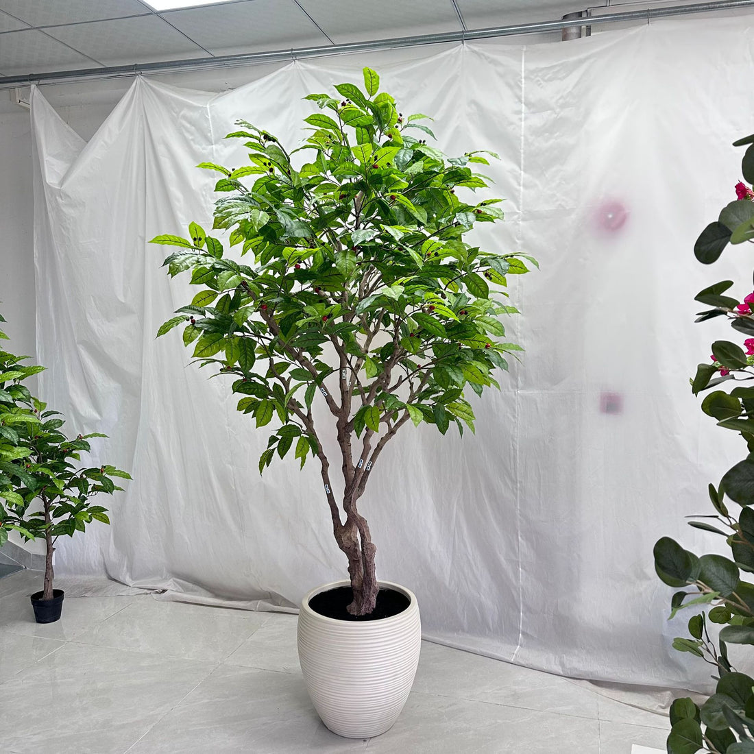 Large Faux Coffee Tree Floor Planter 8 FT