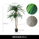 Faux Dracaena Tree Soft Rubber for Commercial Interiors