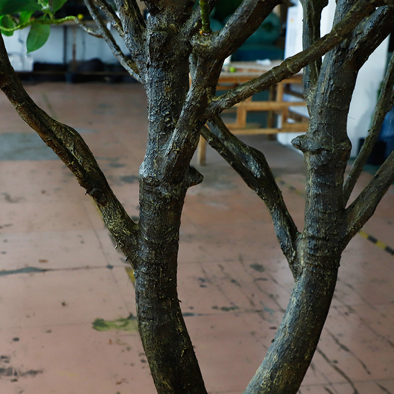 Artificial Mangrove Tree 2.5 m for Indoor Landscapes