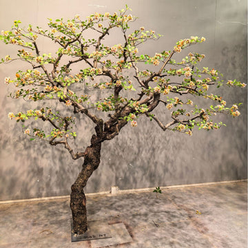 Artificial Chinese Begonia Spring Flower Island Style Tree Decor