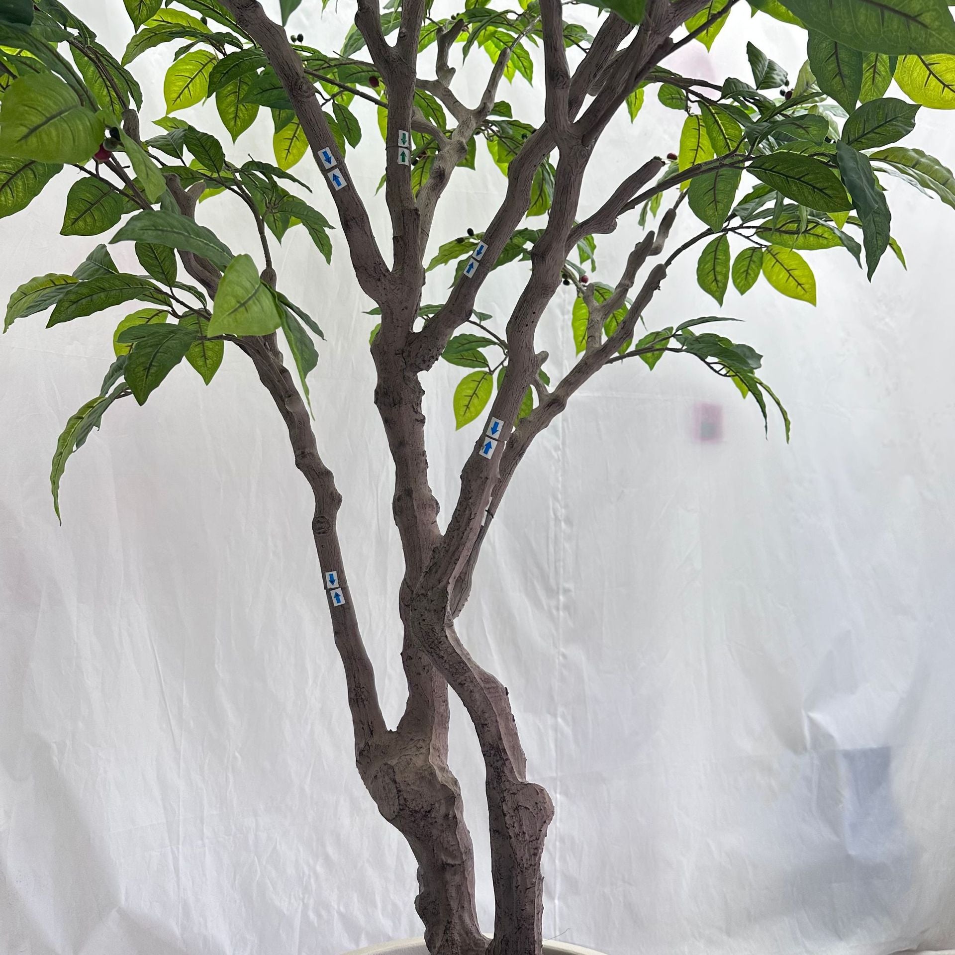 Large Faux Coffee Tree Floor Planter 8 FT