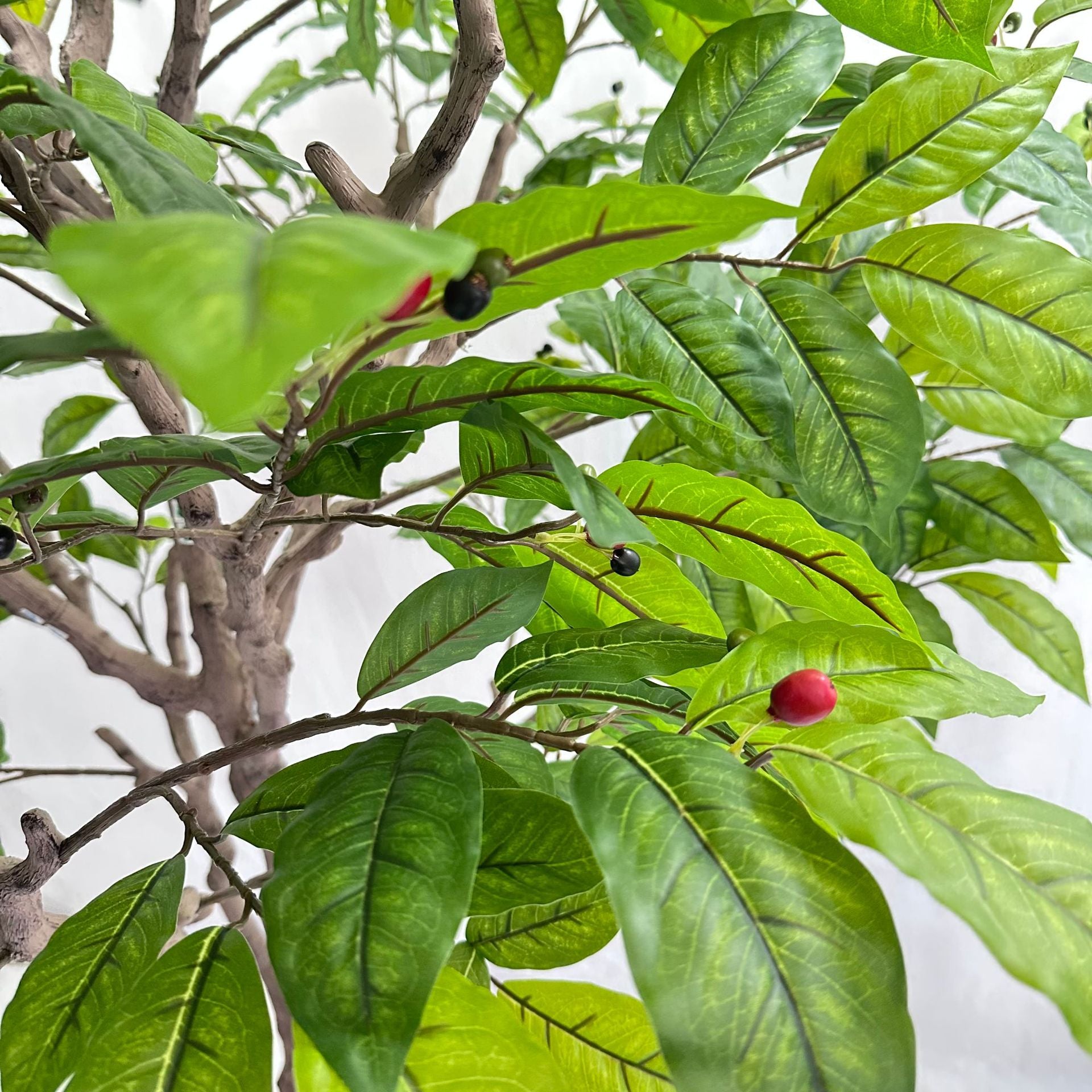 Large Faux Coffee Tree Floor Planter 8 FT