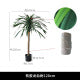 Faux Dracaena Tree Soft Rubber for Commercial Interiors
