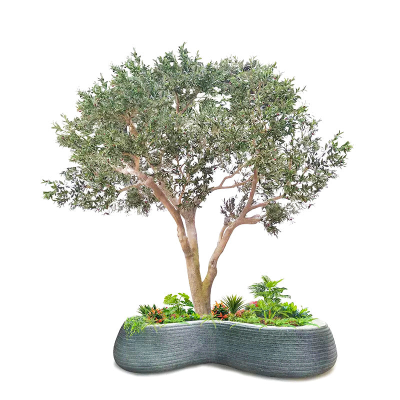 Custom Artificial Olive Tree Fiberglass Decorative 8 ft
