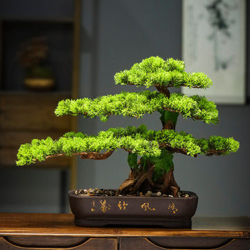 Artificial Pine Bonsai Tree for Decoration