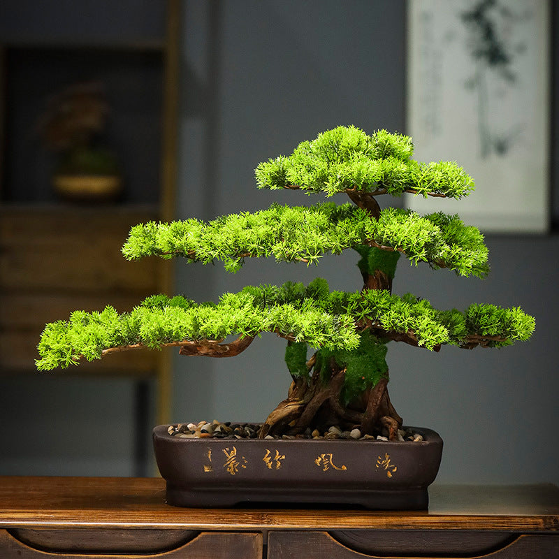 Artificial Pine Bonsai Tree for Decoration