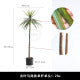 Faux Dracaena Tree Soft Rubber for Commercial Interiors