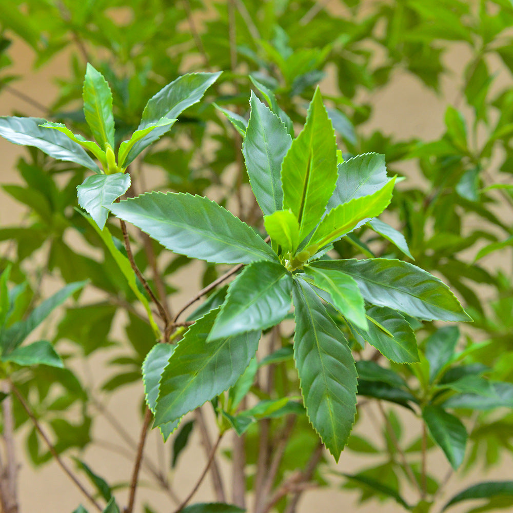 Artificial Pieris Japonica Tree 10 FT Faux Greenery