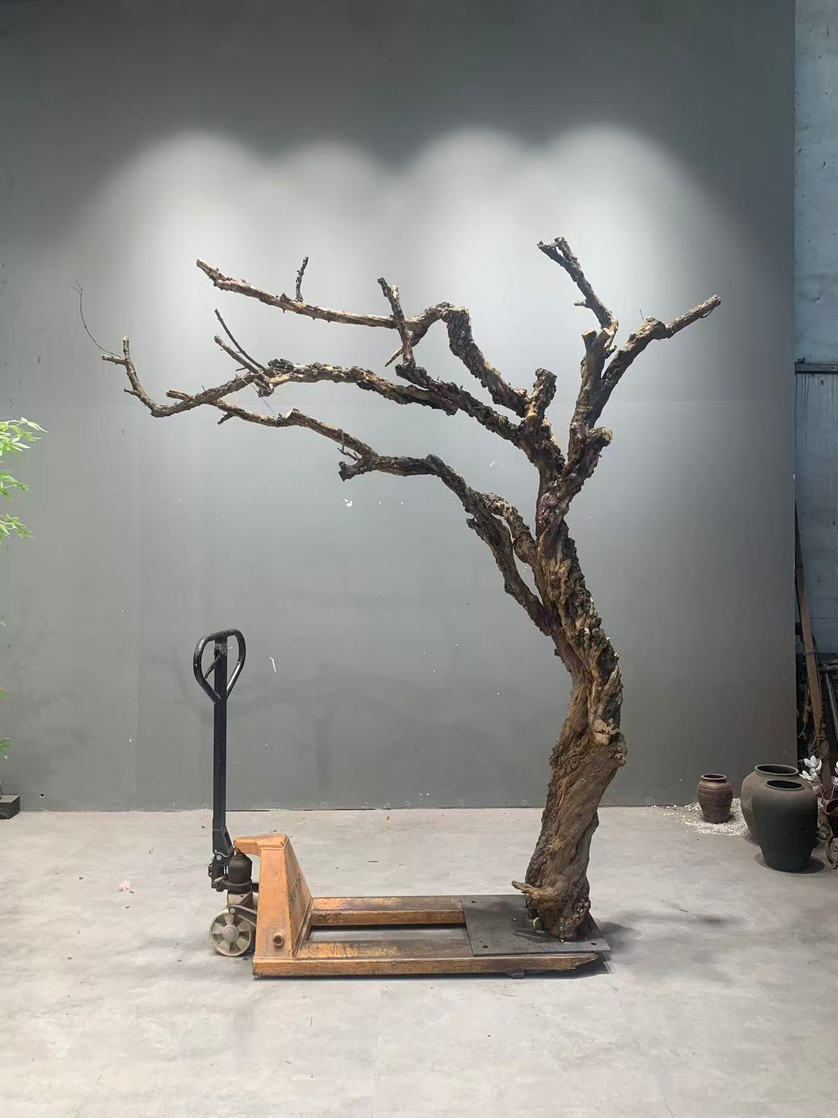 Artificial Dead Tree Bare Trunk for Commercial Landscape