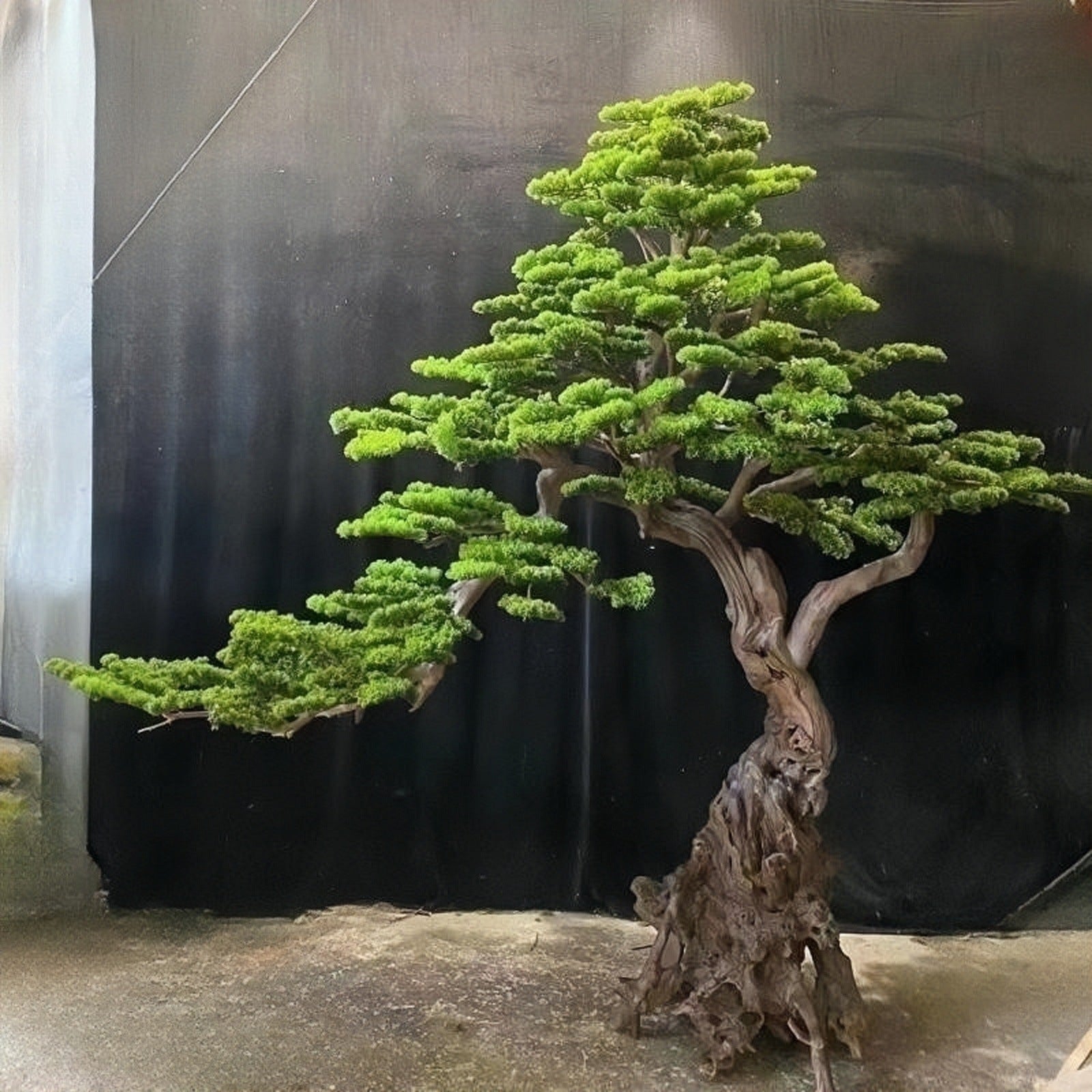 Faux Welcome Pine Tree Solid Wood Trunk