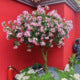 Artificial Blossom Tree in Silk Flowers for Lobby Displays