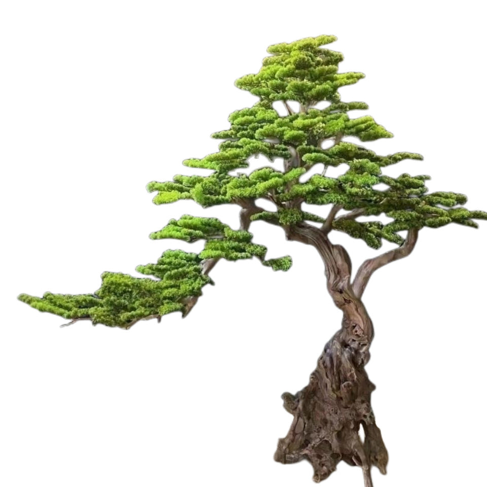 Faux Welcome Pine Tree Solid Wood Trunk