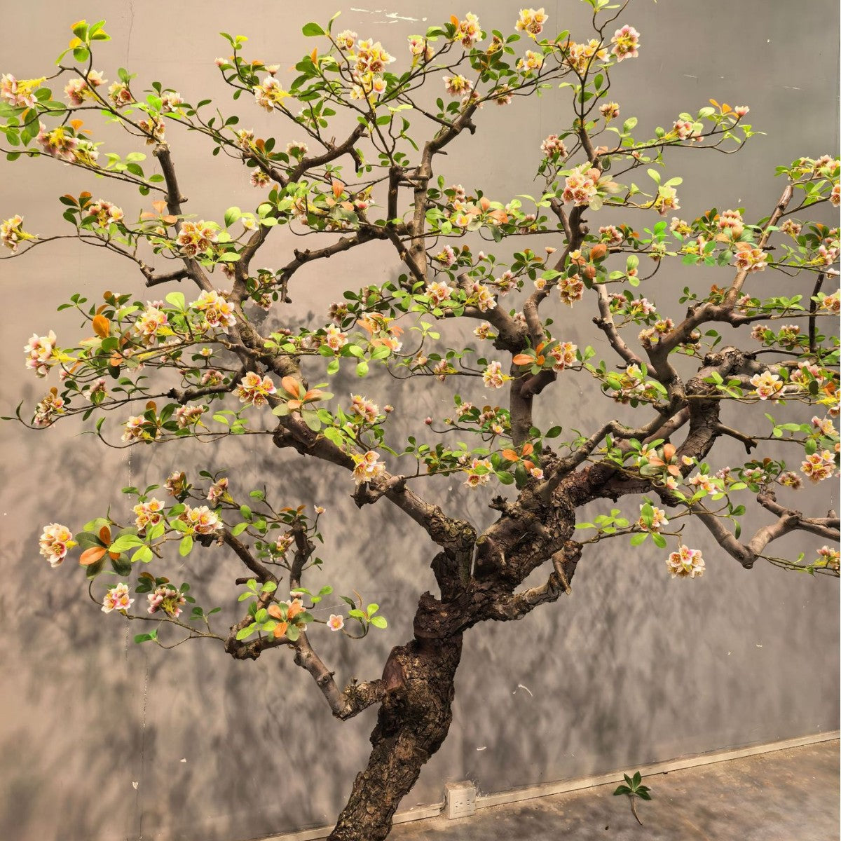 Artificial Chinese Begonia Spring Flower Island Style Tree Decor